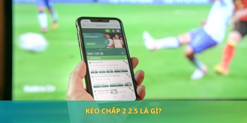 Kèo chấp 2 2.5 tạo nên lợi thế cực hấp dẫn dành cho hội viên 