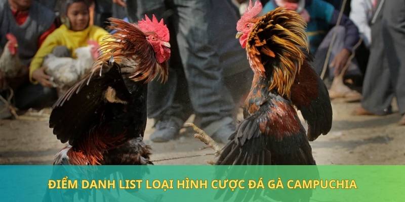 Loại hình đá gà cựa tạo sức hút nhờ tính linh hoạt trong trận chiến 